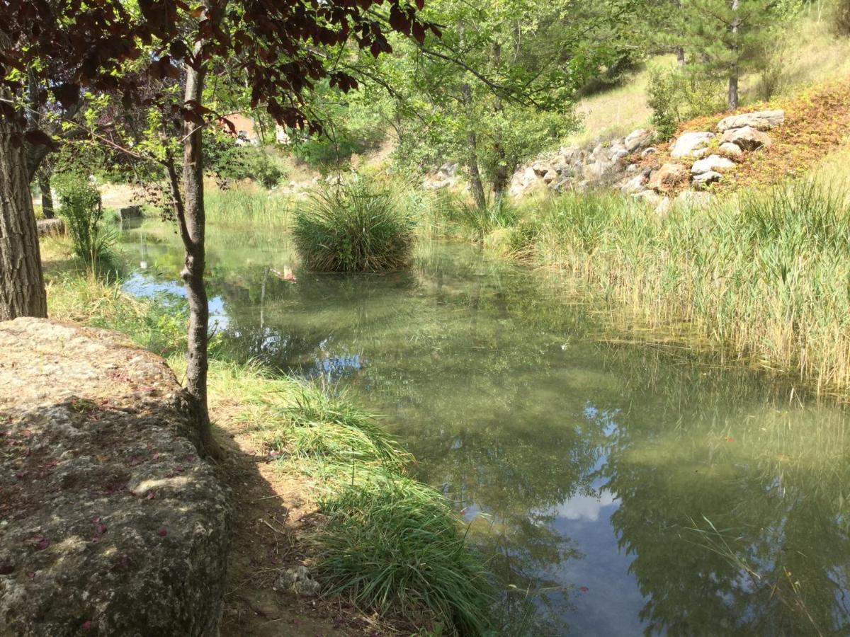 Mazet Tournesol Aux Portes Du Verdon Saint-Martin-de-Brômes Εξωτερικό φωτογραφία
