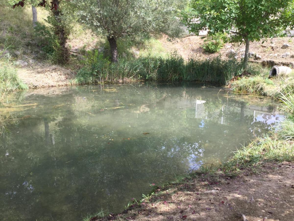 Mazet Tournesol Aux Portes Du Verdon Saint-Martin-de-Brômes Εξωτερικό φωτογραφία